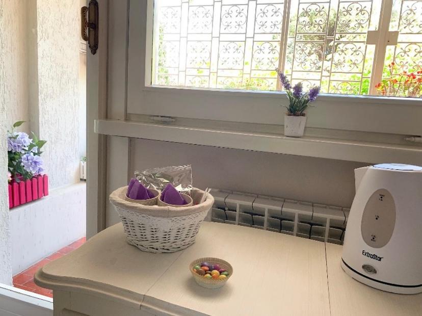 B&B Eurgardenie ローマ エクステリア 写真